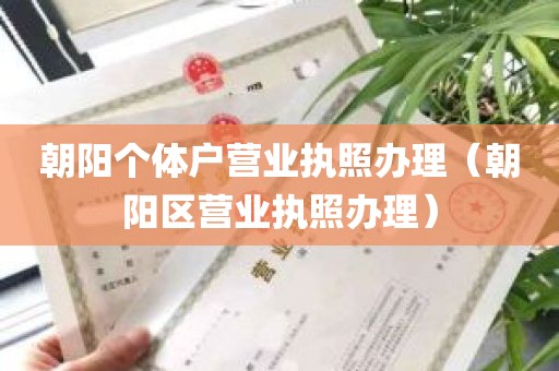 朝阳个体户营业执照办理（朝阳区营业执照办理）