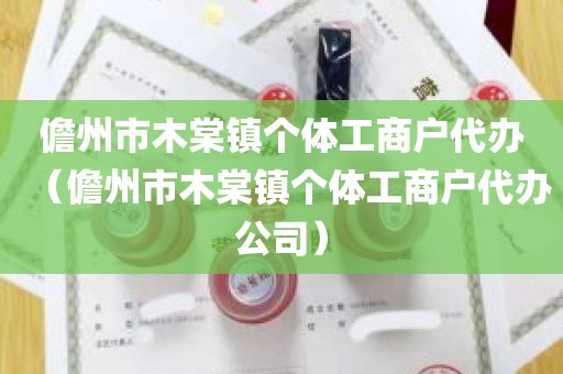 儋州市木棠镇个体工商户代办（儋州市木棠镇个体工商户代办公司）