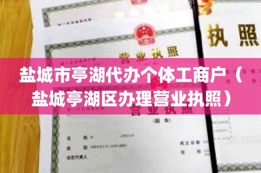 盐城市亭湖代办个体工商户（盐城亭湖区办理营业执照）