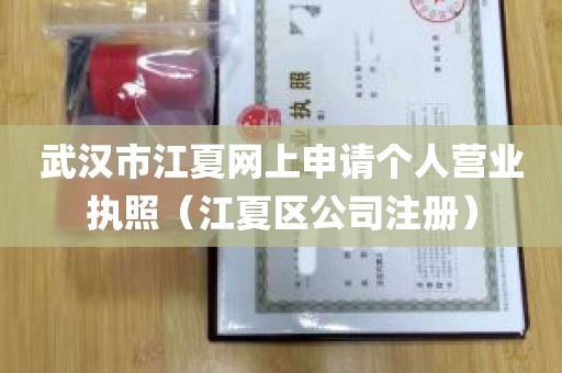 武汉市江夏网上申请个人营业执照（江夏区公司注册）