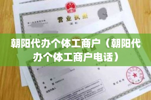 朝阳代办个体工商户（朝阳代办个体工商户电话）