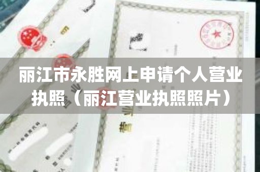 丽江市永胜网上申请个人营业执照（丽江营业执照照片）