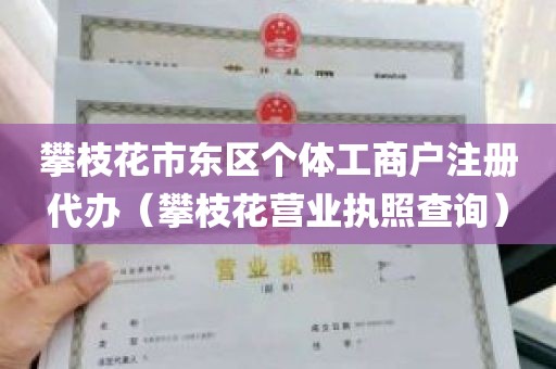 攀枝花市东区个体工商户注册代办（攀枝花营业执照查询）