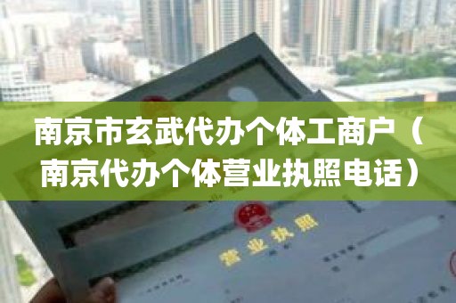 南京市玄武代办个体工商户（南京代办个体营业执照电话）