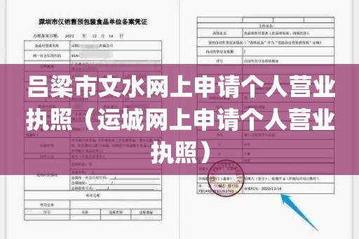 吕梁市文水网上申请个人营业执照（运城网上申请个人营业执照）