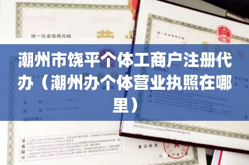 潮州市饶平个体工商户注册代办（潮州办个体营业执照在哪里）