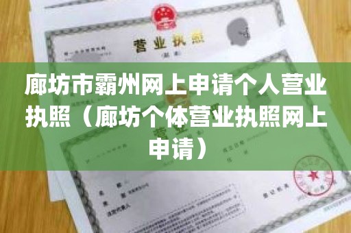 廊坊市霸州网上申请个人营业执照（廊坊个体营业执照网上申请）