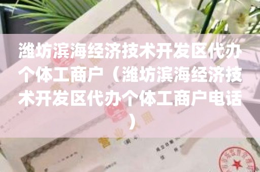 潍坊滨海经济技术开发区代办个体工商户（潍坊滨海经济技术开发区代办个体工商户电话）