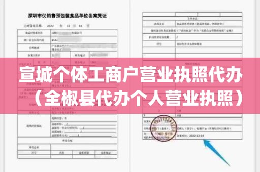 宣城个体工商户营业执照代办（全椒县代办个人营业执照）