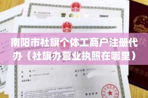 南阳市社旗个体工商户注册代办（社旗办营业执照在哪里）