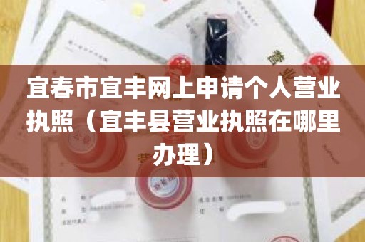 宜春市宜丰网上申请个人营业执照（宜丰县营业执照在哪里办理）