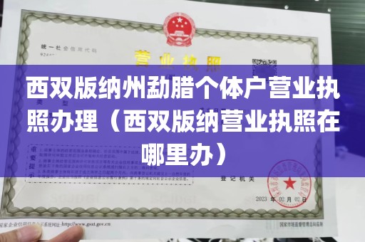 西双版纳州勐腊个体户营业执照办理（西双版纳营业执照在哪里办）
