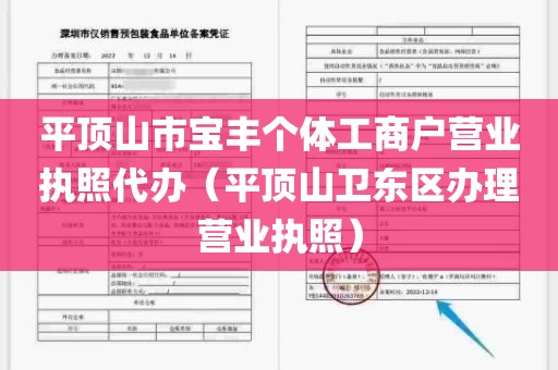 平顶山市宝丰个体工商户营业执照代办（平顶山卫东区办理营业执照）