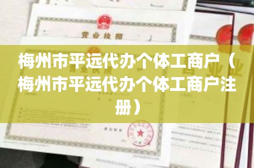 梅州市平远代办个体工商户（梅州市平远代办个体工商户注册）