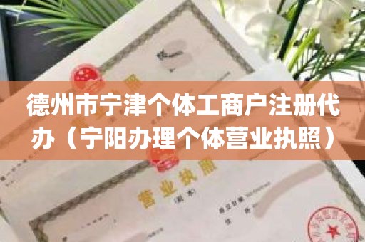 德州市宁津个体工商户注册代办（宁阳办理个体营业执照）