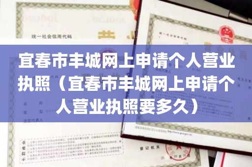 宜春市丰城网上申请个人营业执照（宜春市丰城网上申请个人营业执照要多久）