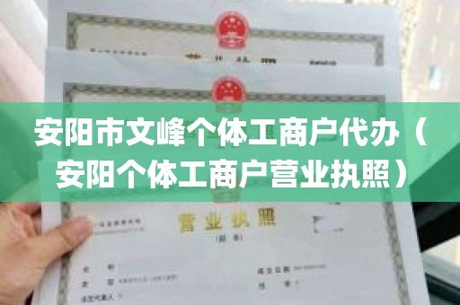 安阳市文峰个体工商户代办（安阳个体工商户营业执照）