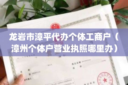 龙岩市漳平代办个体工商户（漳州个体户营业执照哪里办）