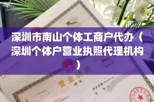 深圳市南山个体工商户代办（深圳个体户营业执照代理机构）