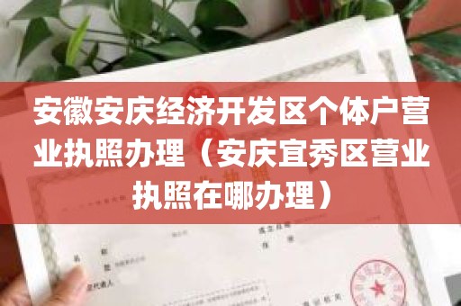 安徽安庆经济开发区个体户营业执照办理（安庆宜秀区营业执照在哪办理）