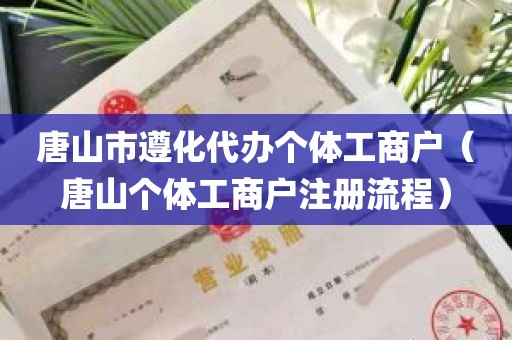 唐山市遵化代办个体工商户（唐山个体工商户注册流程）