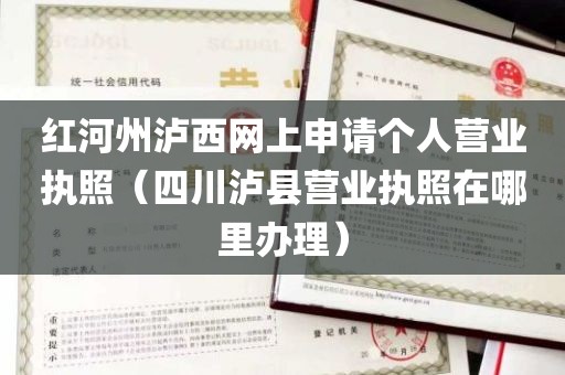 红河州泸西网上申请个人营业执照（四川泸县营业执照在哪里办理）