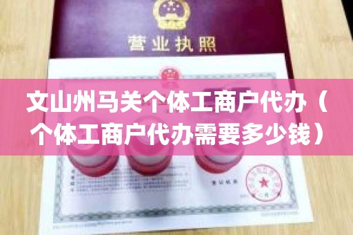 文山州马关个体工商户代办（个体工商户代办需要多少钱）