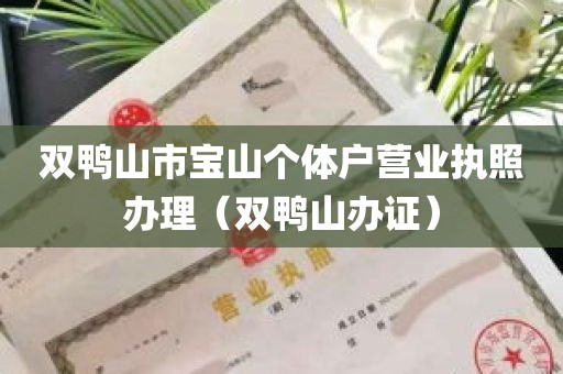 双鸭山市宝山个体户营业执照办理（双鸭山办证）