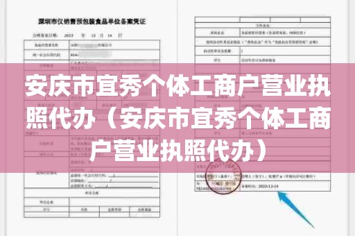 安庆市宜秀个体工商户营业执照代办（安庆市宜秀个体工商户营业执照代办）