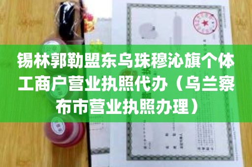 锡林郭勒盟东乌珠穆沁旗个体工商户营业执照代办（乌兰察布市营业执照办理）