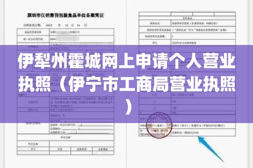 伊犁州霍城网上申请个人营业执照（伊宁市工商局营业执照）