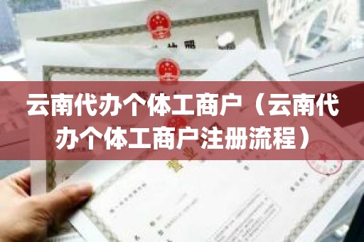 云南代办个体工商户（云南代办个体工商户注册流程）