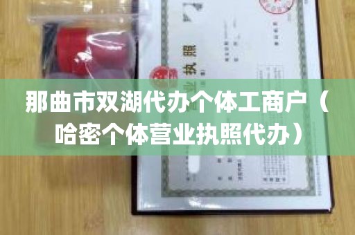 那曲市双湖代办个体工商户（哈密个体营业执照代办）