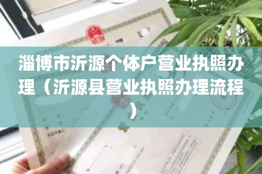 淄博市沂源个体户营业执照办理（沂源县营业执照办理流程）