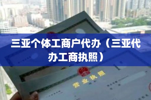 三亚个体工商户代办（三亚代办工商执照）