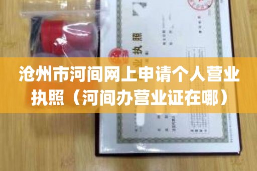 沧州市河间网上申请个人营业执照（河间办营业证在哪）
