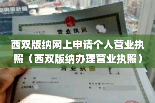 西双版纳网上申请个人营业执照（西双版纳办理营业执照）
