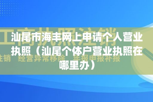 汕尾市海丰网上申请个人营业执照（汕尾个体户营业执照在哪里办）