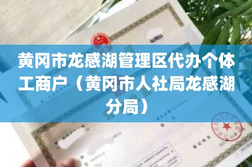 黄冈市龙感湖管理区代办个体工商户（黄冈市人社局龙感湖分局）