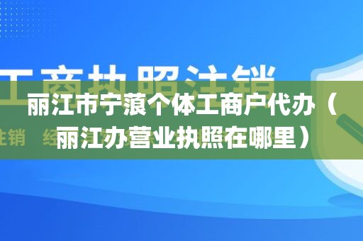 丽江市宁蒗个体工商户代办（丽江办营业执照在哪里）