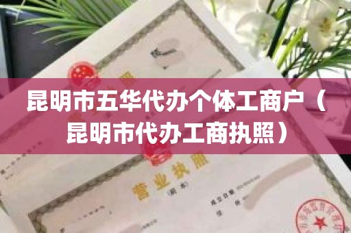 昆明市五华代办个体工商户（昆明市代办工商执照）
