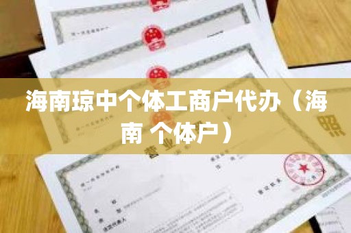 海南琼中个体工商户代办（海南 个体户）