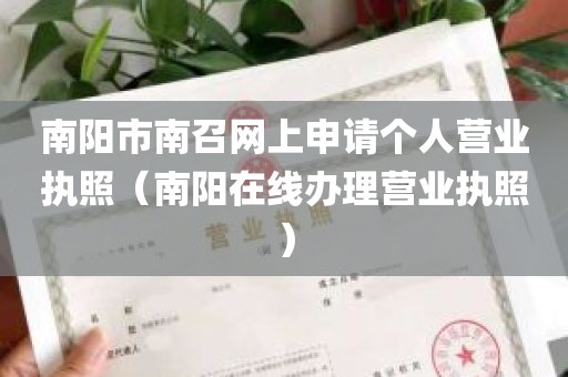 南阳市南召网上申请个人营业执照（南阳在线办理营业执照）