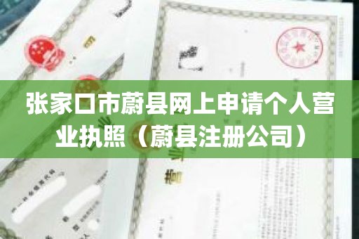 张家口市蔚县网上申请个人营业执照（蔚县注册公司）