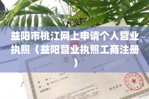 益阳市桃江网上申请个人营业执照（益阳营业执照工商注册）