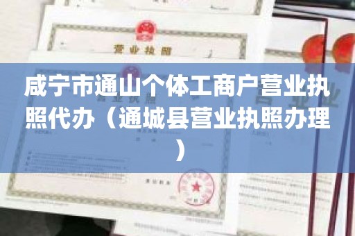咸宁市通山个体工商户营业执照代办（通城县营业执照办理）