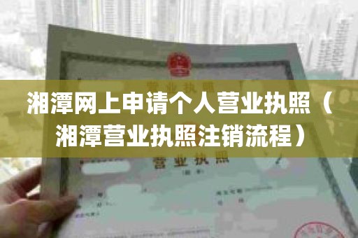 湘潭网上申请个人营业执照（湘潭营业执照注销流程）