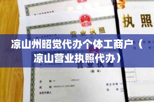 凉山州昭觉代办个体工商户（凉山营业执照代办）