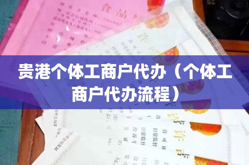 贵港个体工商户代办（个体工商户代办流程）
