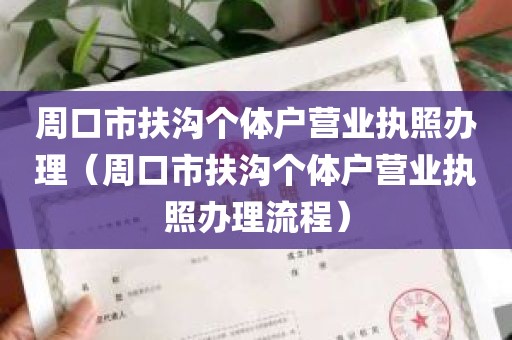 周口市扶沟个体户营业执照办理（周口市扶沟个体户营业执照办理流程）